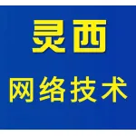 郑州郑东新区灵西网络技术服务部