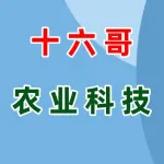 郑州十六哥农业科技有限公司