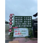 熊孩子花卉苗木基地