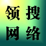 河南领搜网络科技有限公司