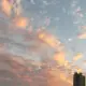 李玉茹的个人头像