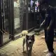 刘帅的个人头像
