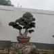 楚奎的个人头像