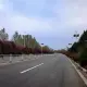 樊佳瑶的个人头像