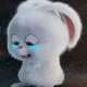 张晓柯的个人头像