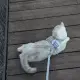 郭女士的个人头像